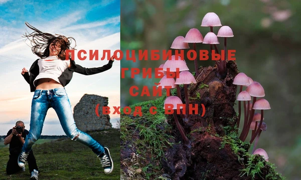 гидропоника Алексин